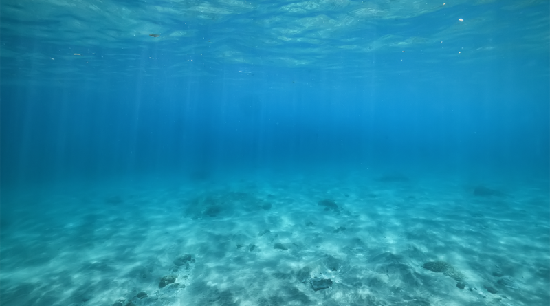 Pacific sea bed, home to sought after deep-sea metals